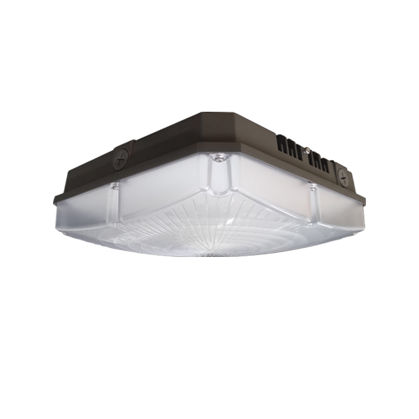 CAPG Parking Garage light